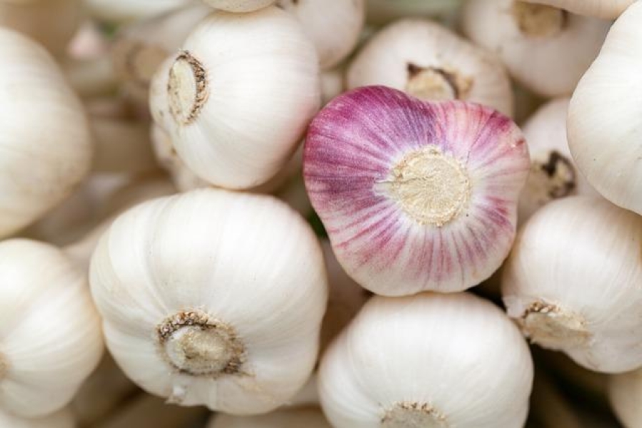 Garlic: Unraveling Its Health Benefits